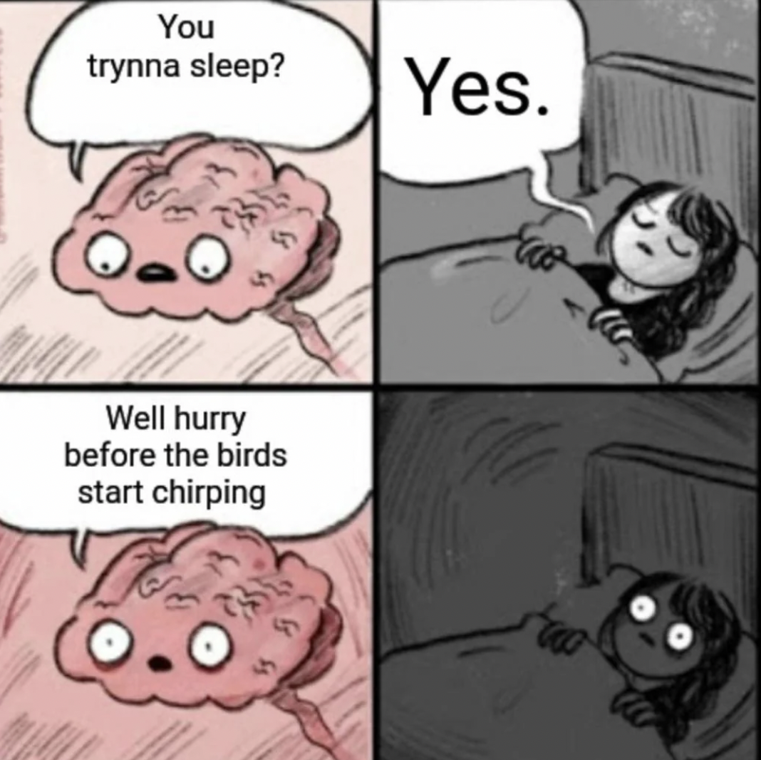 developer jokes programmer meme - You trynna sleep? Well hurry before the birds start chirping Yes.