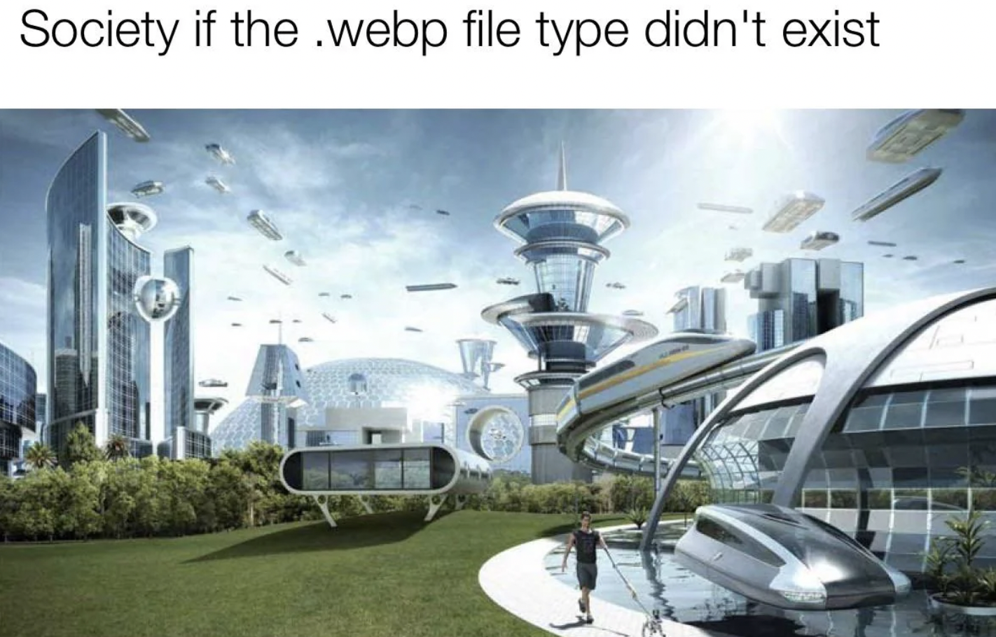 society memes reddit - Society if the .webp file type didn't exist