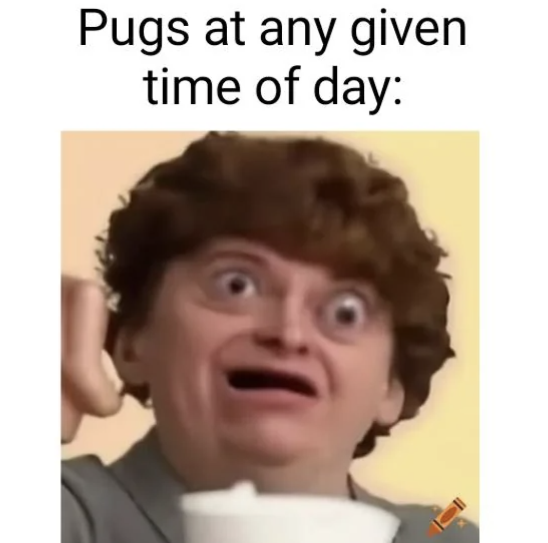funny meme templates meme - Pugs at any given time of day
