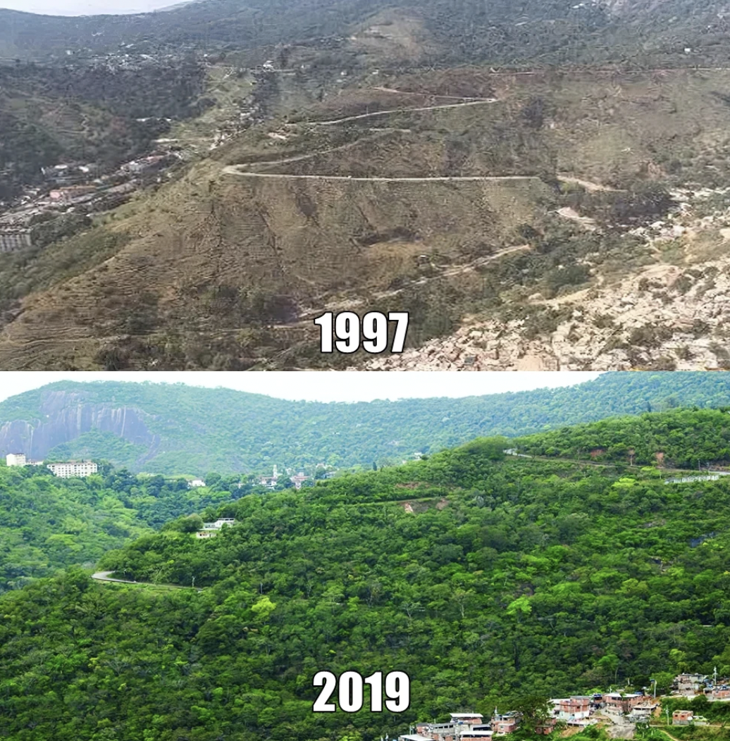mount scenery - 1997 2019