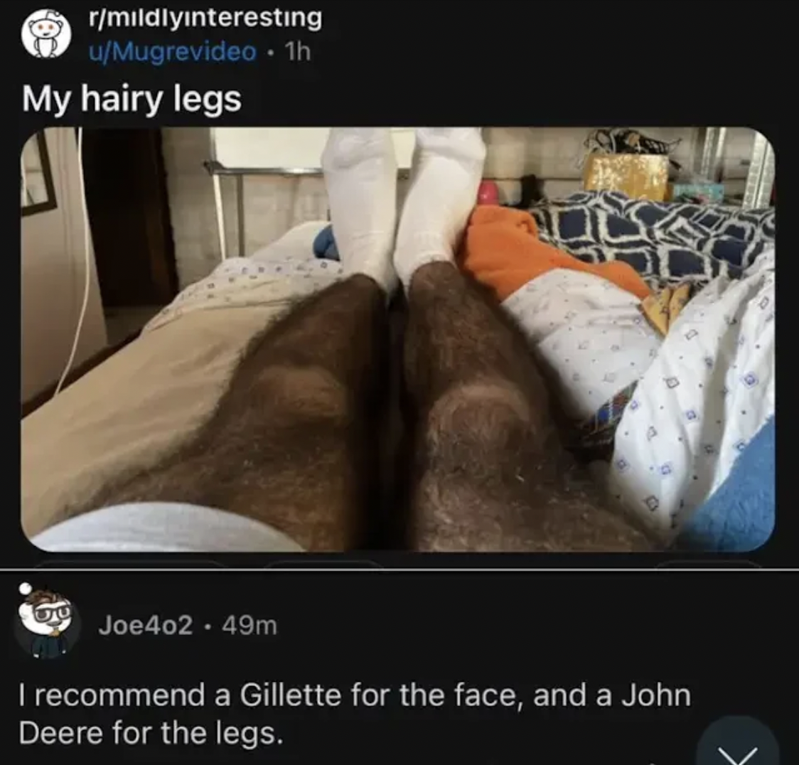 photo caption - rmildlyinteresting uMugrevideo 1h My hairy legs Joe402. 49m I recommend a Gillette for the face, and a John Deere for the legs.