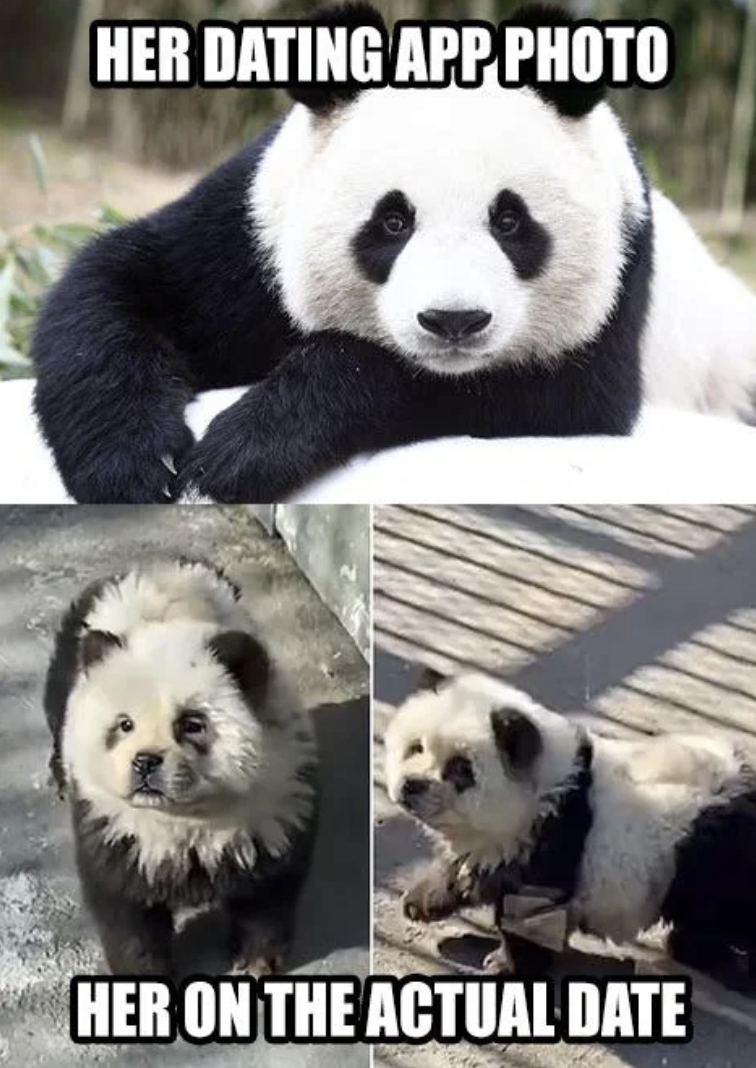 panda race meme - Her Dating App Photo Her On The Actual Date
