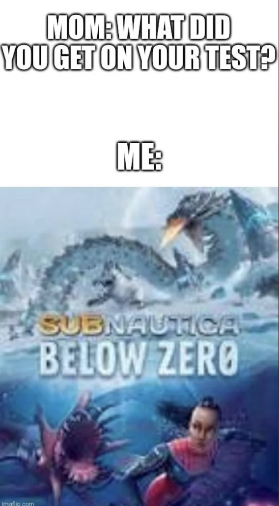 Mom What Did You Get On Your Test? Me Subnautic Below Zero