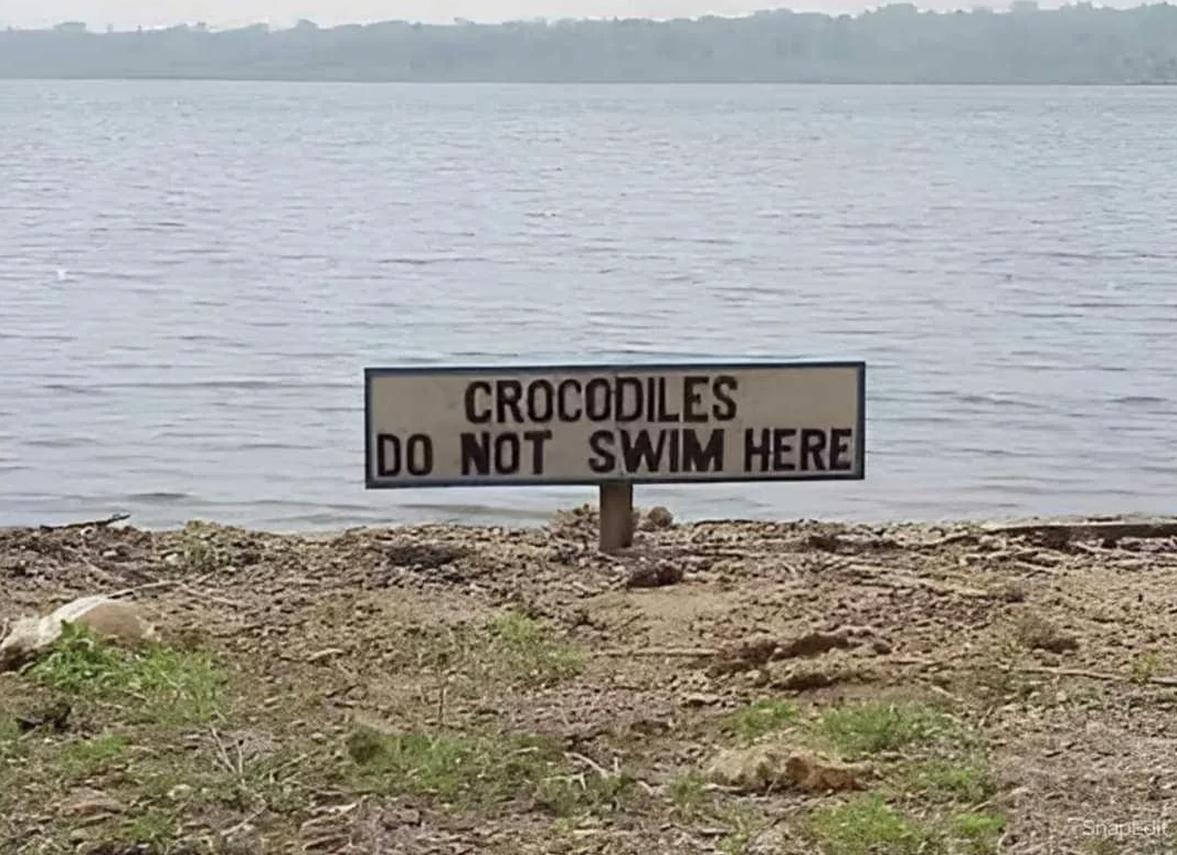 crocodiles dont swim here - Crocodiles Do Not Swim Here