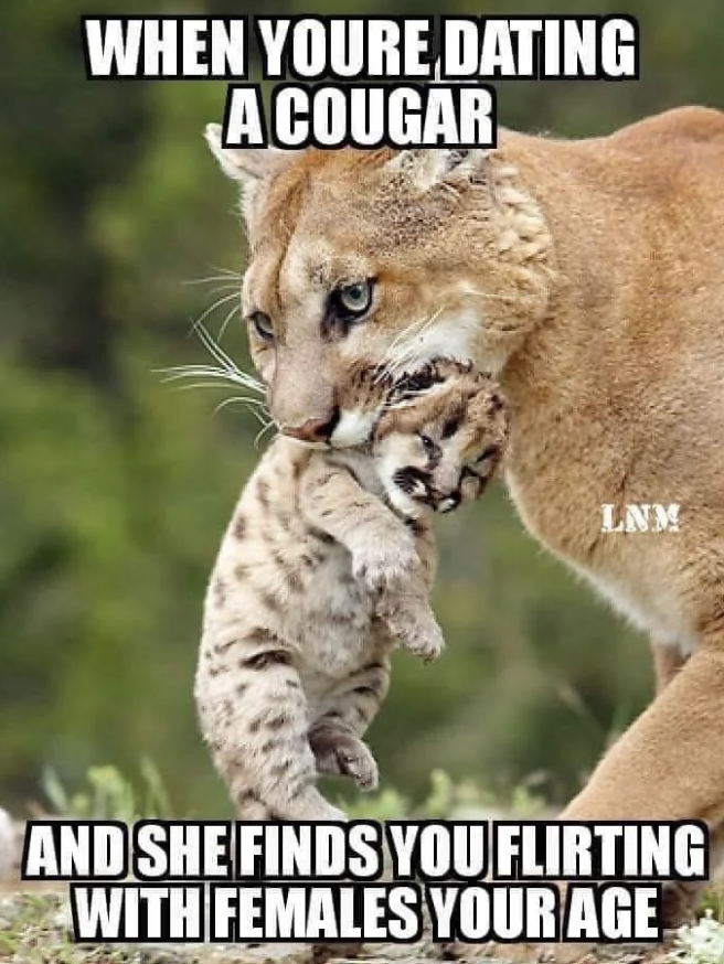 cougar memes funny - When Youre Dating A Cougar Lnm And She Finds You Flirting With Females Your Age