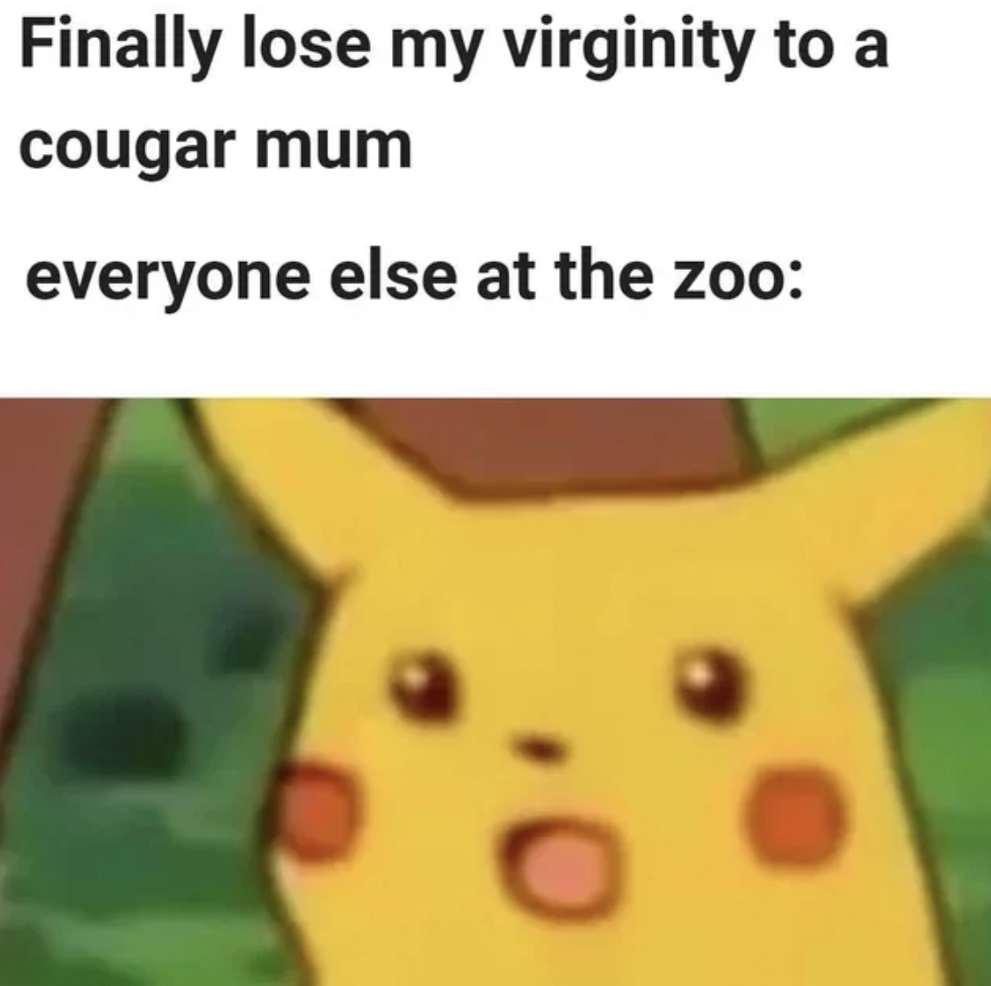 best surprise pikachu memes - Finally lose my virginity to a cougar mum everyone else at the zoo