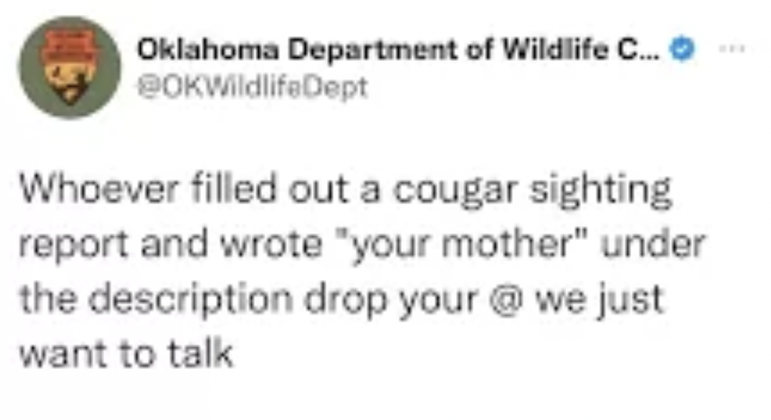 screenshot - Oklahoma Department of Wildlife C... Whoever filled out a cougar sighting report and wrote "your mother" under the description drop your @ we just want to talk