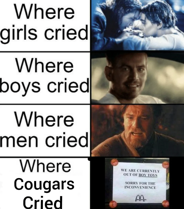 photo caption - Where girls cried Where boys cried Where men cried Where Cougars Cried We Are Currently Out Of Boy Toys Sorry For The Inconvenience Aa