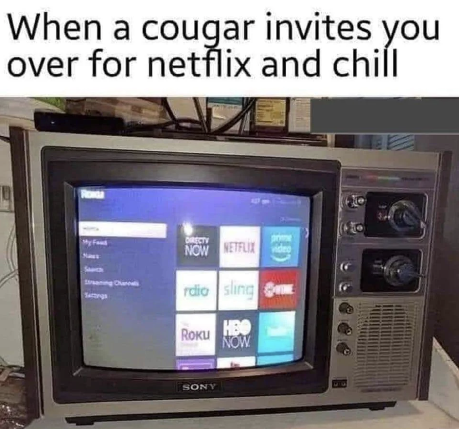 trinitron meme - When a cougar invites you over for netflix and chill prime Id Settings Directy Now Netflix rdio sling Roku Hb Now Sony