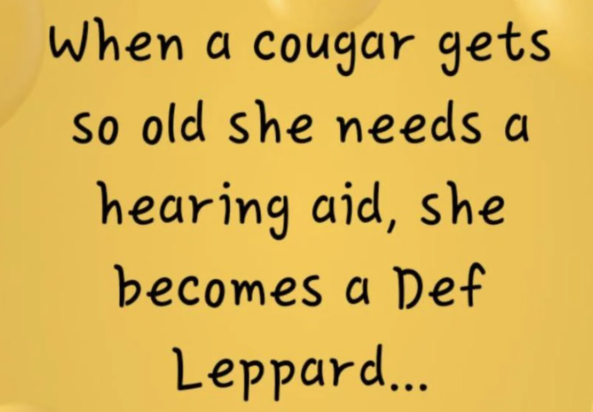 orange - When a cougar gets so old she needs a hearing aid, she becomes a Def Leppard...