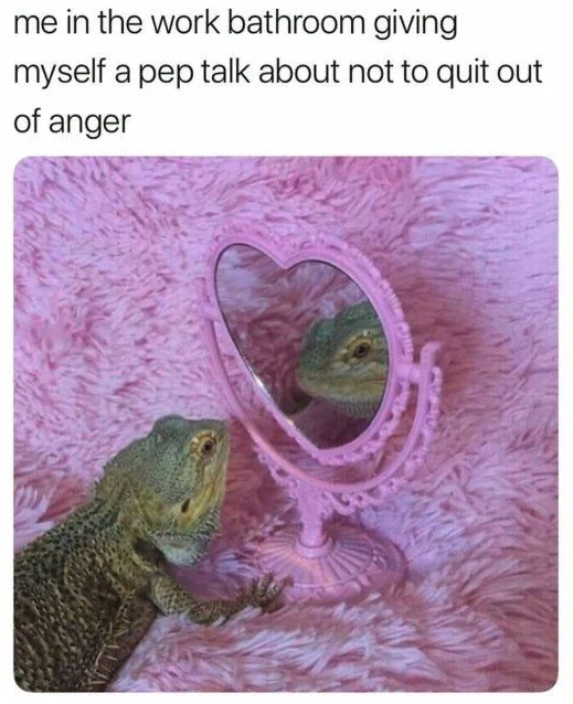 lizard aesthetic - me in the work bathroom giving myself a pep talk about not to quit out of anger