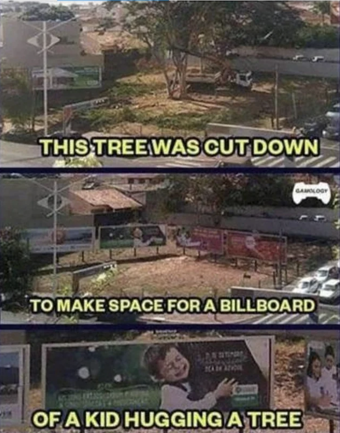 tree - This Tree Was Cut Down Gamology To Make Space For A Billboard Of A Kid Hugging A Tree