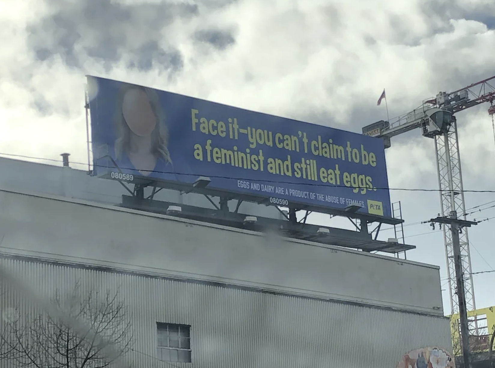 billboard - 080589 Face ityou can't claim to be a feminist and still eat eggs. Eggs And Dairy Are A Product Of The Abuse Of Females Pita 080590