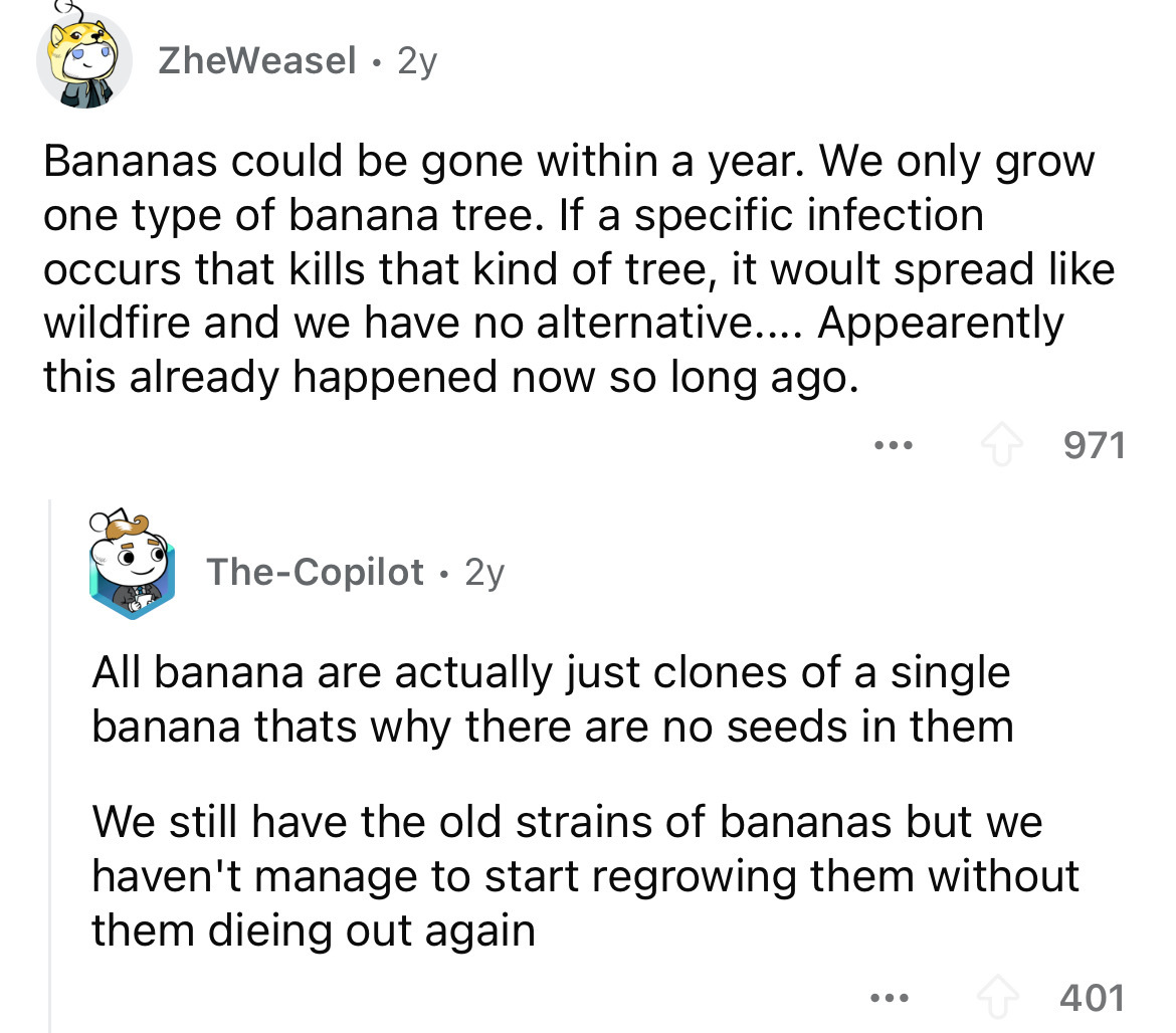 screenshot - ZheWeasel 2y Bananas could be gone within a year. We only grow one type of banana tree. If a specific infection occurs that kills that kind of tree, it woult spread wildfire and we have no alternative.... Appearently this already happened now