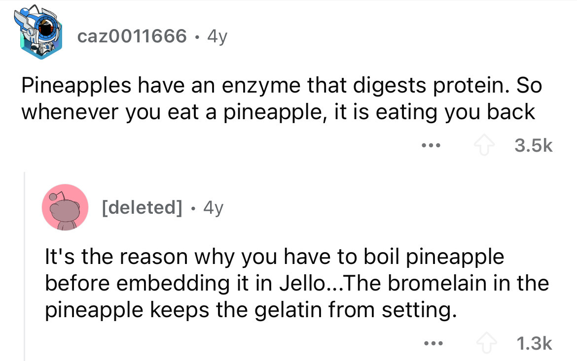 screenshot - caz0011666 4y Pineapples have an enzyme that digests protein. So whenever you eat a pineapple, it is eating you back ... deleted . 4y It's the reason why you have to boil pineapple before embedding it in Jello...The bromelain in the pineapple