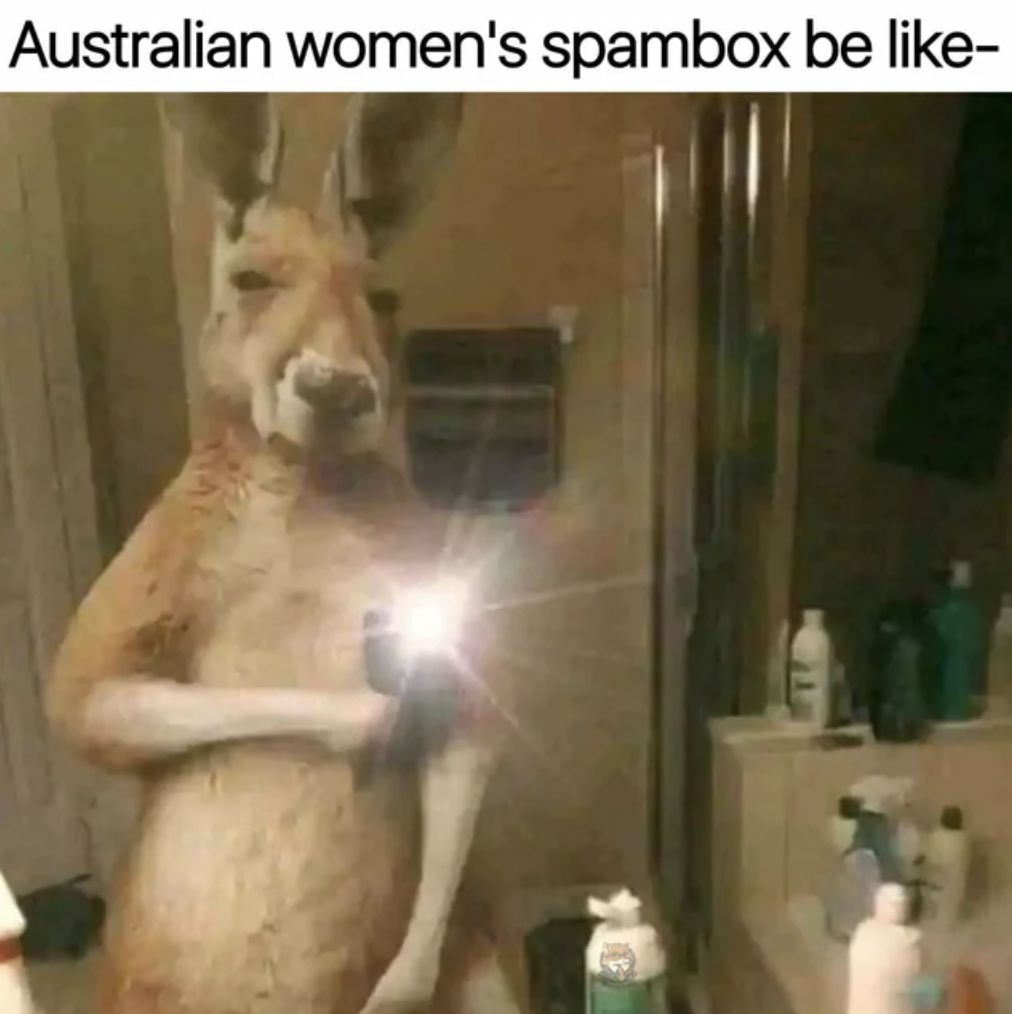 kangaroo - Australian women's spambox be