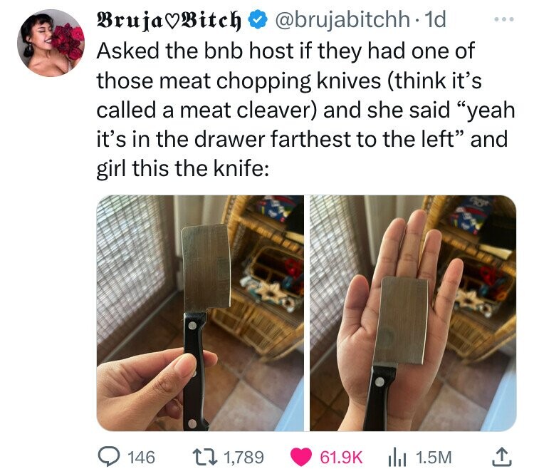 screenshot - BrujaBitch 1d Asked the bnb host if they had one of those meat chopping knives think it's called a meat cleaver and she said "yeah it's in the drawer farthest to the left" and girl this the knife 146 1,789 1.5M