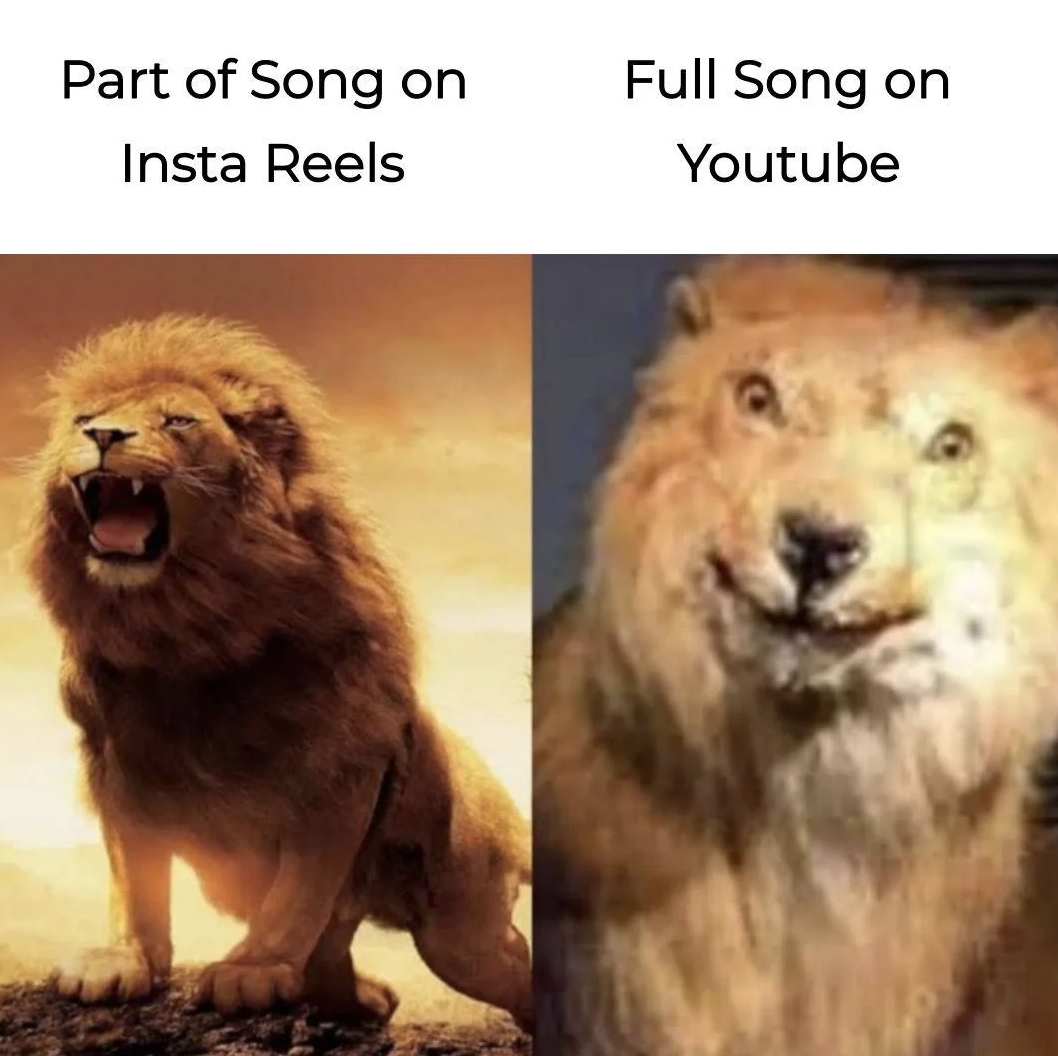 lion hd - Part of Song on Insta Reels Full Song on Youtube