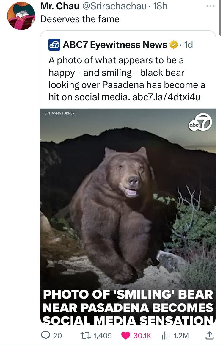 American black bear - Mr. Chau 18h Deserves the fame ABC7 Eyewitness News .1d A photo of what appears to be a happy and smiling black bear looking over Pasadena has become a hit on social media. abc7.la4dtxi4u Johanna Turner abc Photo Of 'Smiling' Bear Ne