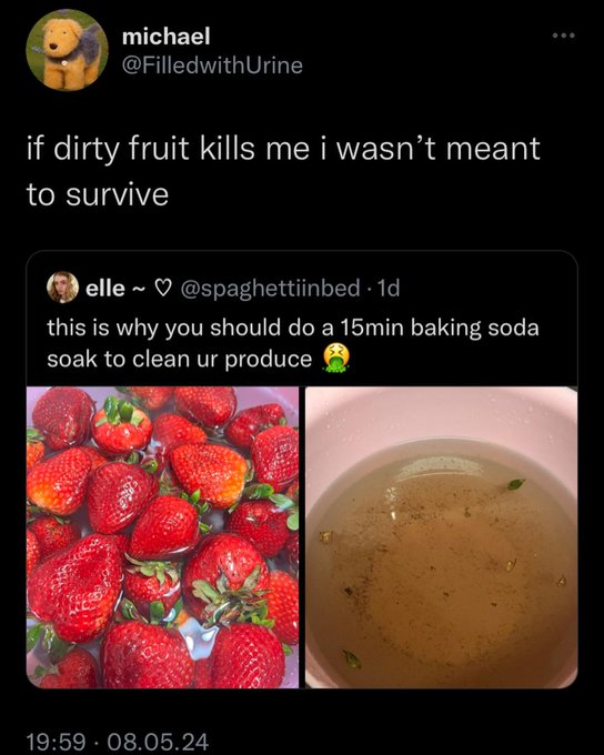 Meme - michael if dirty fruit kills me i wasn't meant to survive elle 1d this is why you should do a 15min baking soda soak to clean ur produce 08.05.24