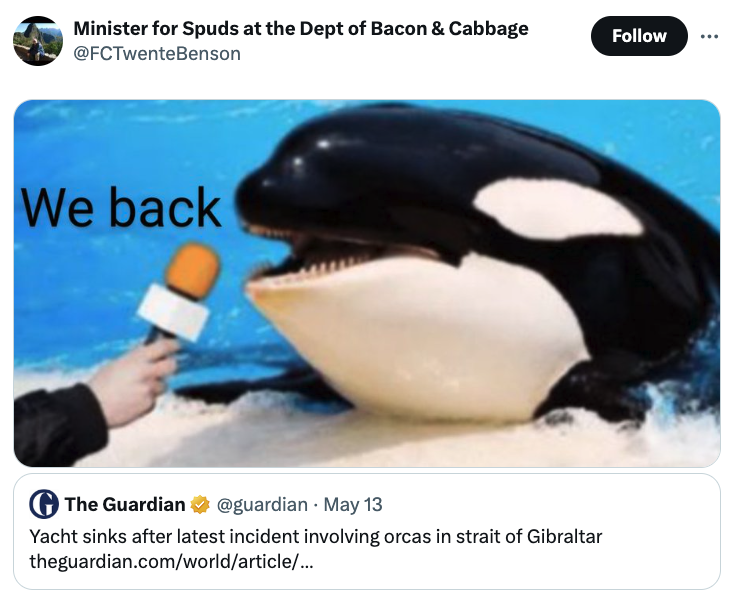 missing sub meme - Minister for Spuds at the Dept of Bacon & Cabbage We back The Guardian May 13 Yacht sinks after latest incident involving orcas in strait of Gibraltar theguardian.comworldarticle...
