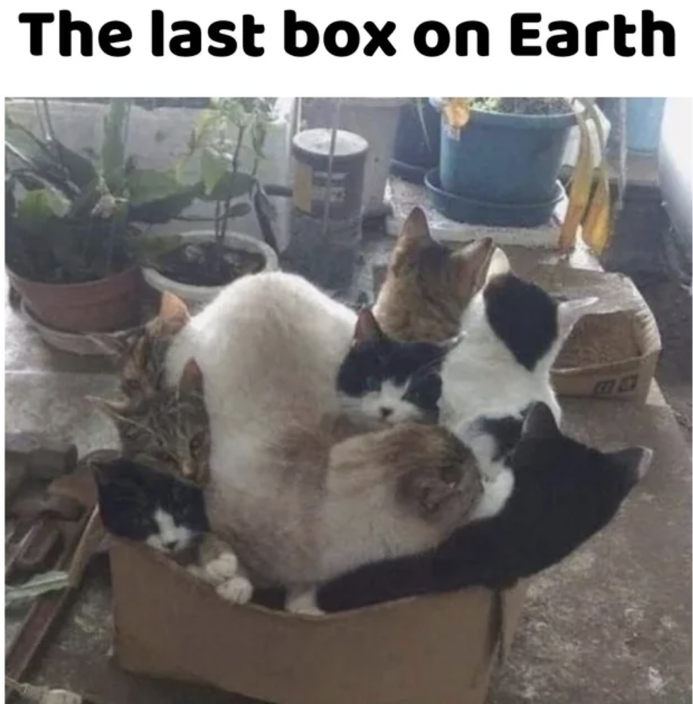 get in loser we fits meme - The last box on Earth Bo