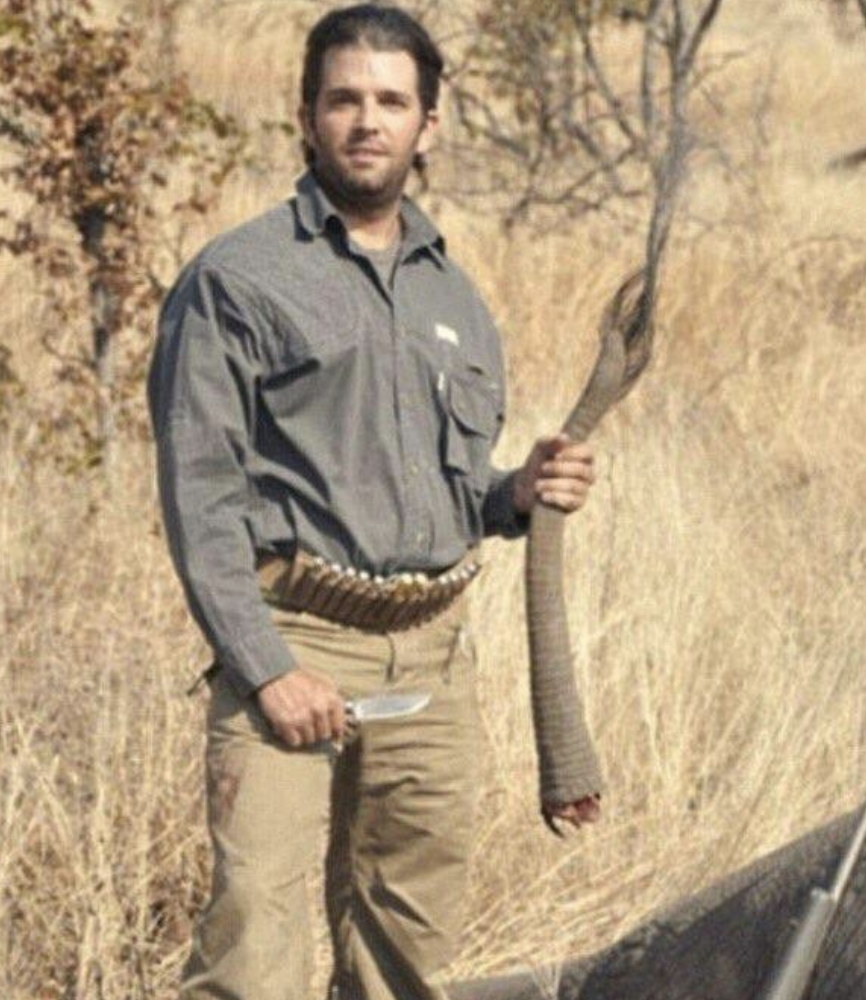 trump jr elephant