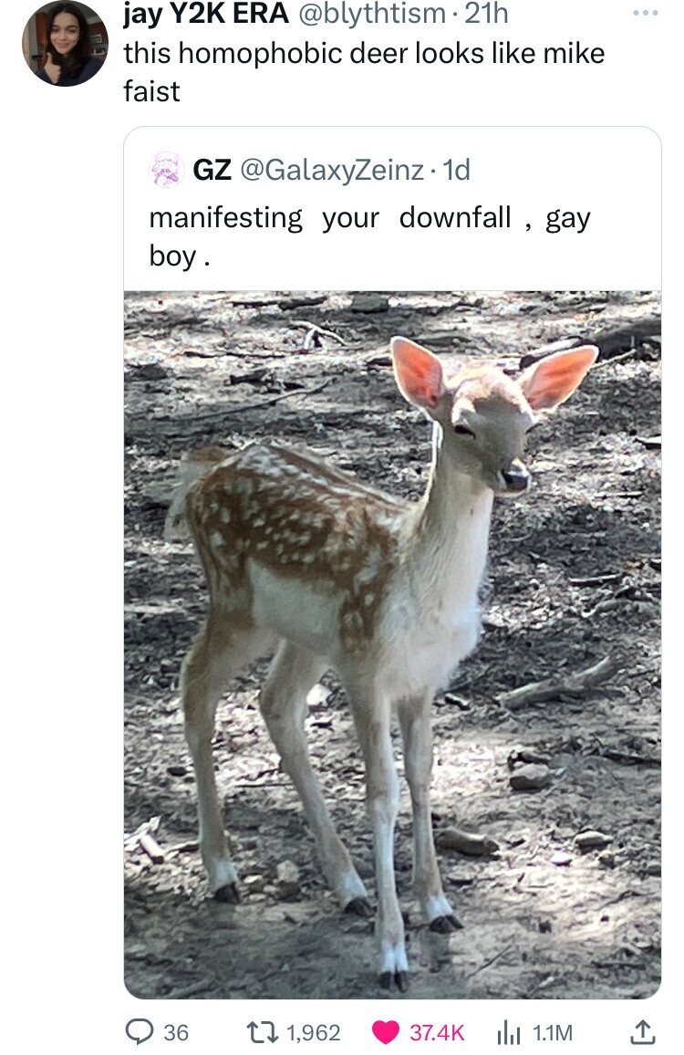 white-tailed deer - jay Y2K Era . 21h this homophobic deer looks mike faist Gz . 1d manifesting your downfall, gay boy. 36 11,962 1.1M