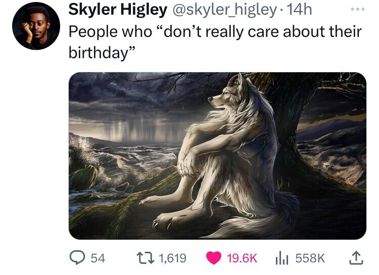 werewolf meme - Skyler Higley 14h People who "don't really care about their birthday" 54 11,619
