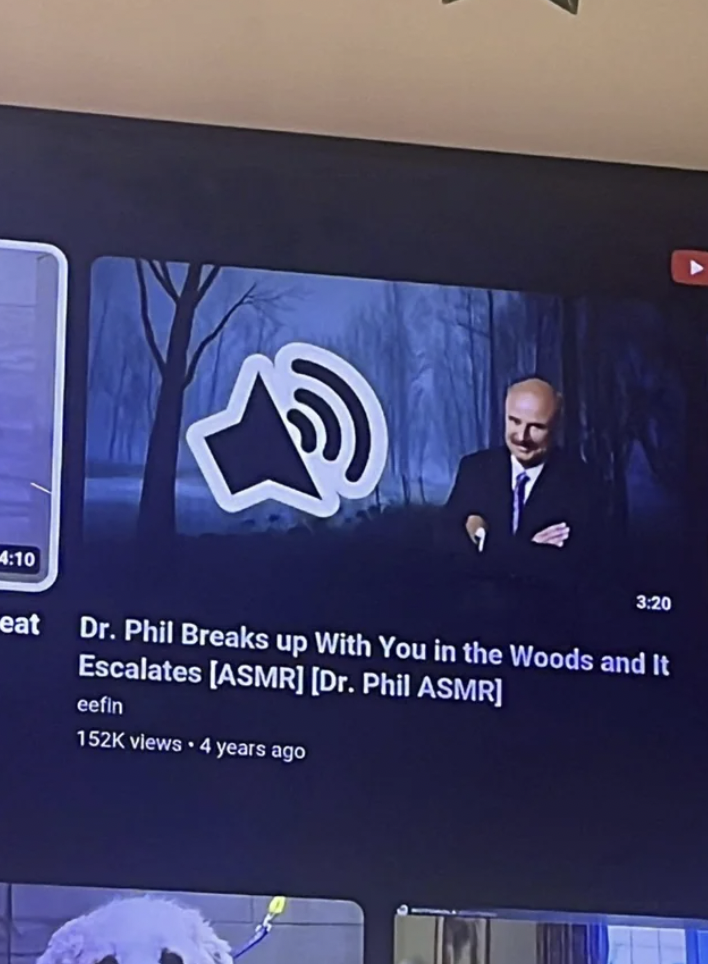 flat panel display - eat Dr. Phil Breaks up With You in the Woods and It Escalates Asmr Dr. Phil Asmr eefin views 4 years ago