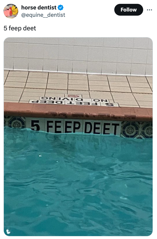 swimming pool - horse dentist 5 feep deet On 5 Feep Deet O