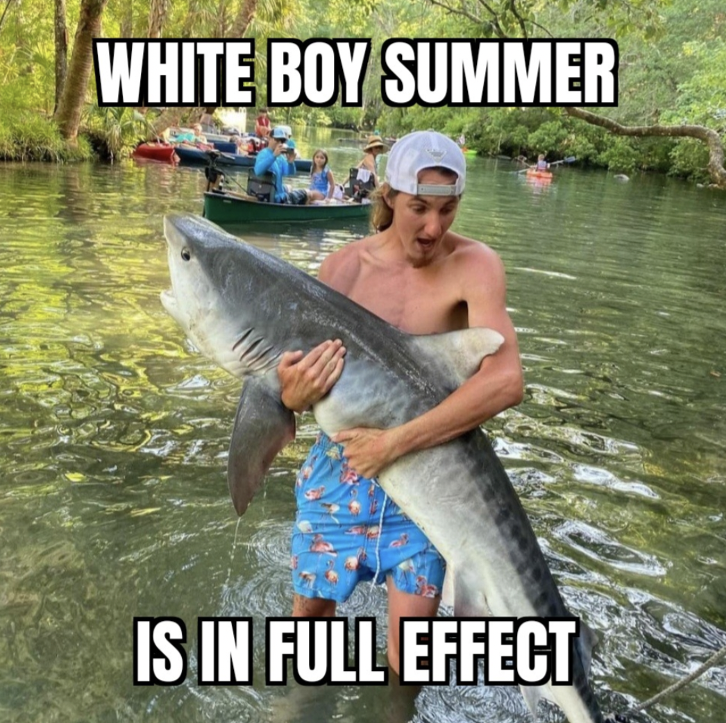 chassahowitzka river shark - White Boy Summer Is In Full Effect