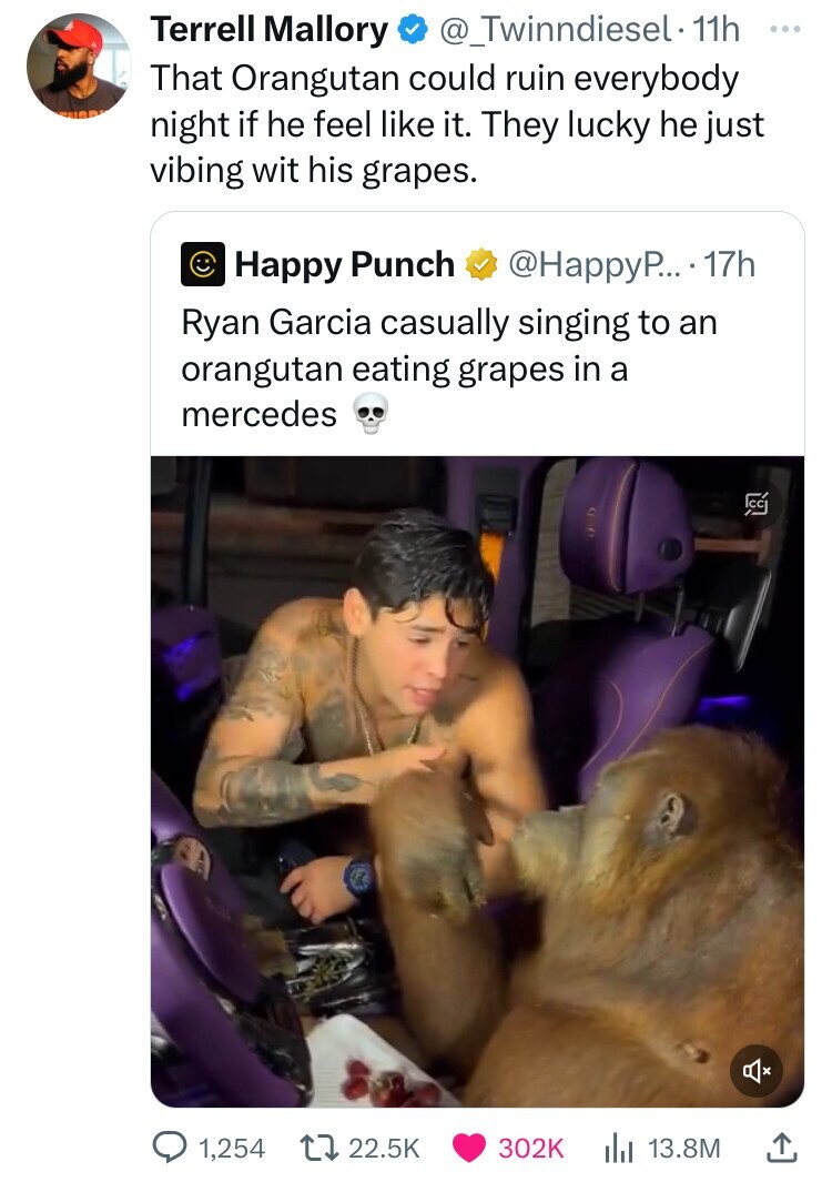 screenshot - Terrell Mallory . 11h That Orangutan could ruin everybody night if he feel it. They lucky he just vibing wit his grapes. Happy Punch .... 17h Ryan Garcia casually singing to an orangutan eating grapes in a mercedes 1,254 lil 13.8M