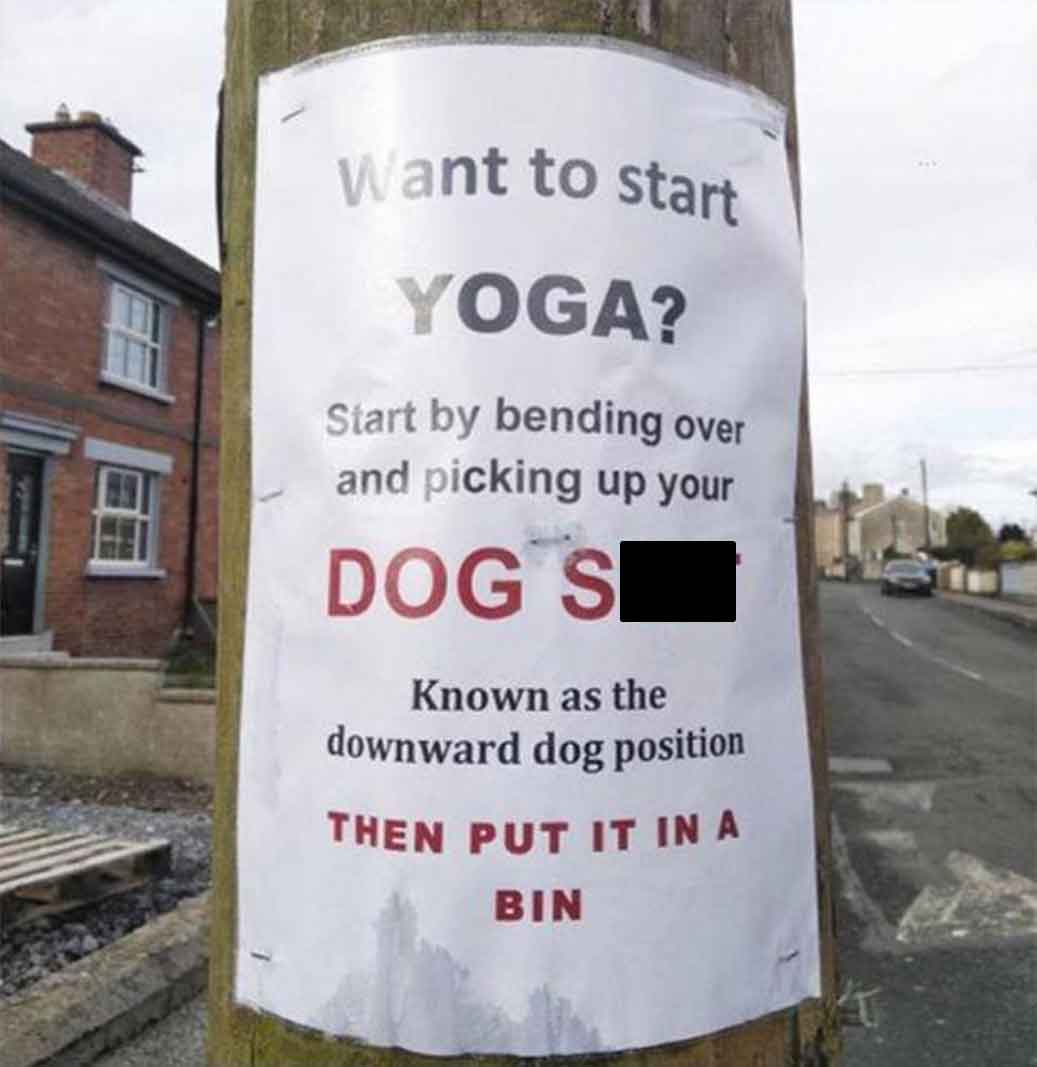 Funny meme - Want to start Yoga? Start by bending over and picking up your Dog S Known as the downward dog position Then Put It In A Bin