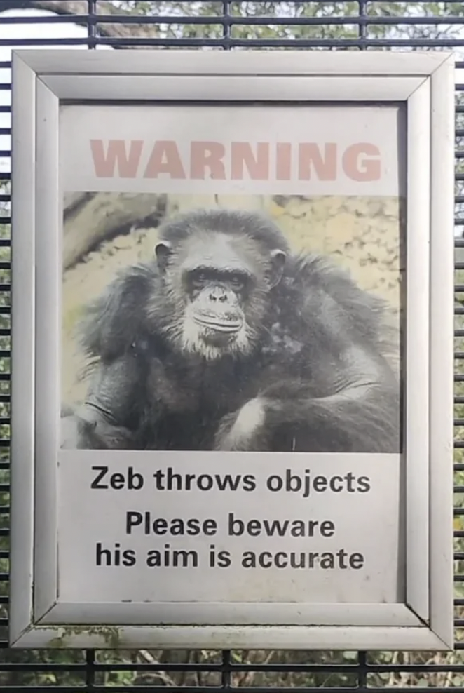 zeb thrower of objects - Warning Zeb throws objects Please beware his aim is accurate