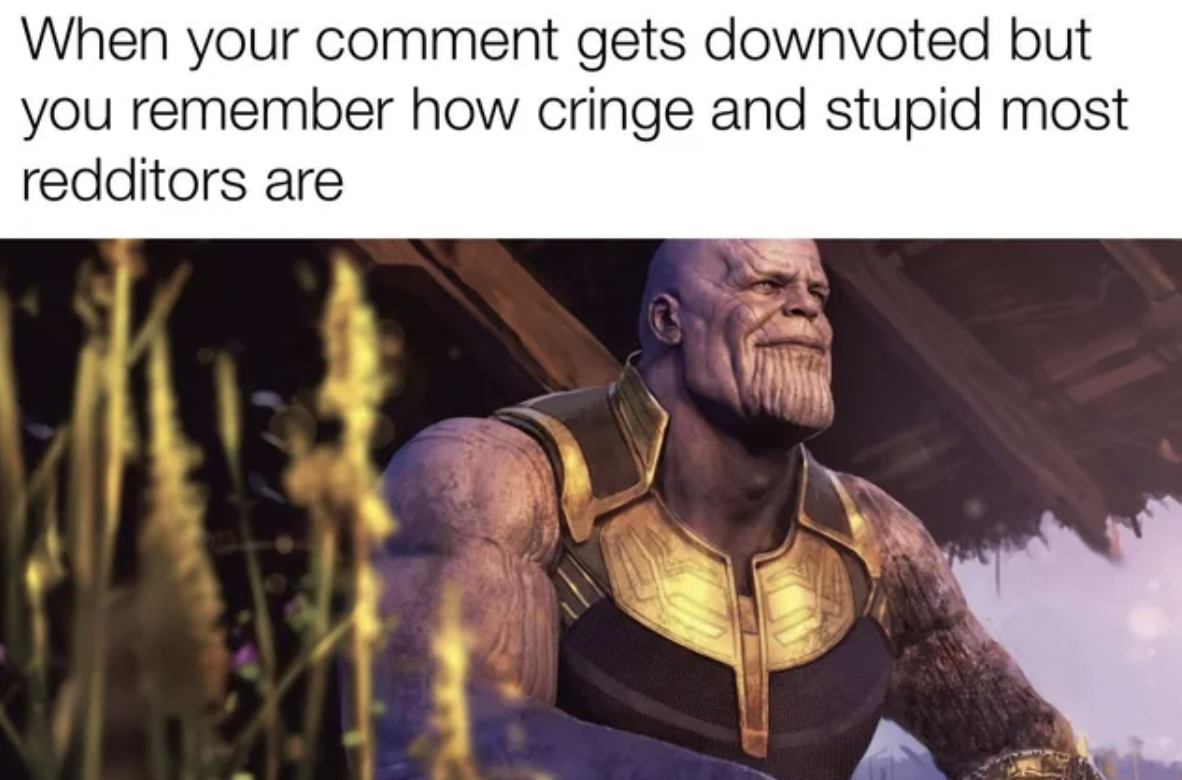 thanos quotes - When your comment gets downvoted but you remember how cringe and stupid most redditors are