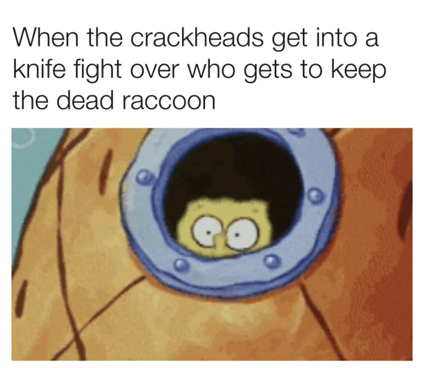 spongebob meme window - When the crackheads get into a knife fight over who gets to keep the dead raccoon