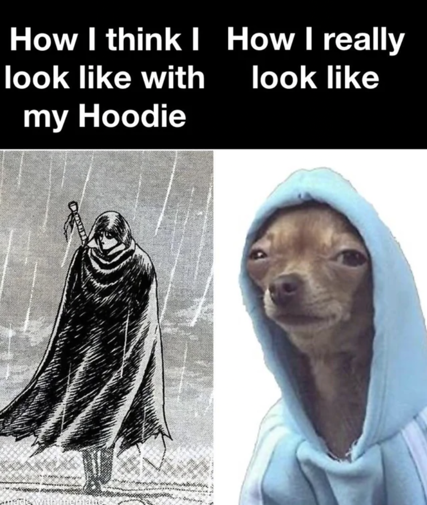 dog in a hoodie - How I think I look with my Hoodie How I really look