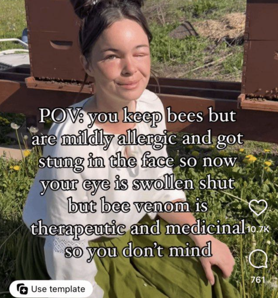 photo caption - Pov you keep bees but are mildly allergic and got stung in the face so now your eye is swollen shut but bee venom is therapeutic and medicinal 10.7 so you don't mind Use template 761