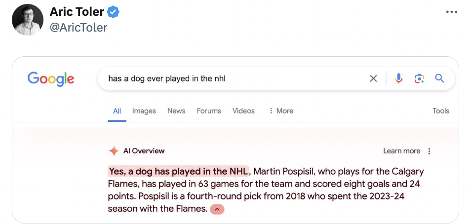 screenshot - Aric Toler Google has a dog ever played in the nhl All Images News Forums Videos More Al Overview Learn more Yes, a dog has played in the Nhl, Martin Pospisil, who plays for the Calgary Flames, has played in 63 games for the team and scored e