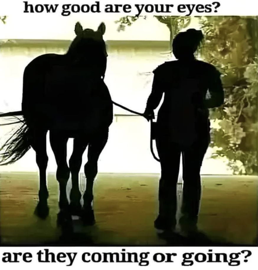 good are your eyes are they coming - how good are your eyes? are they coming or going?