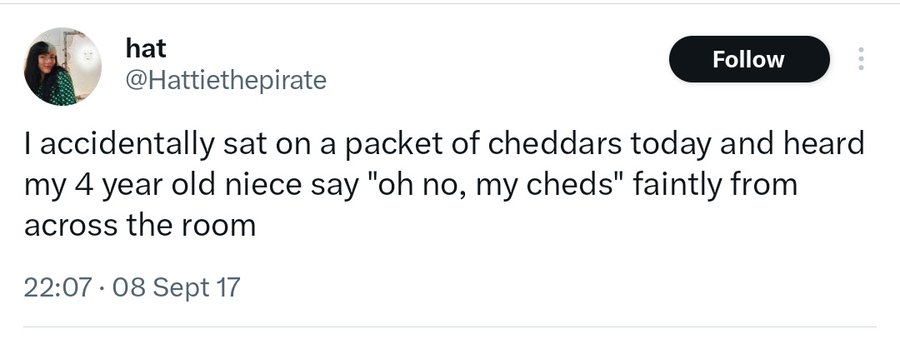 screenshot - hat I accidentally sat on a packet of cheddars today and heard my 4 year old niece say "oh no, my cheds" faintly from across the room 08 Sept 17