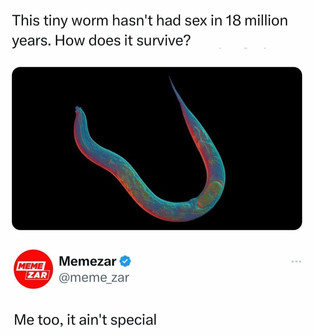 funny memes - diagram - This tiny worm hasn't had sex in 18 million years. How does it survive? Meme Memezar 000 Zar Me too, it ain't special