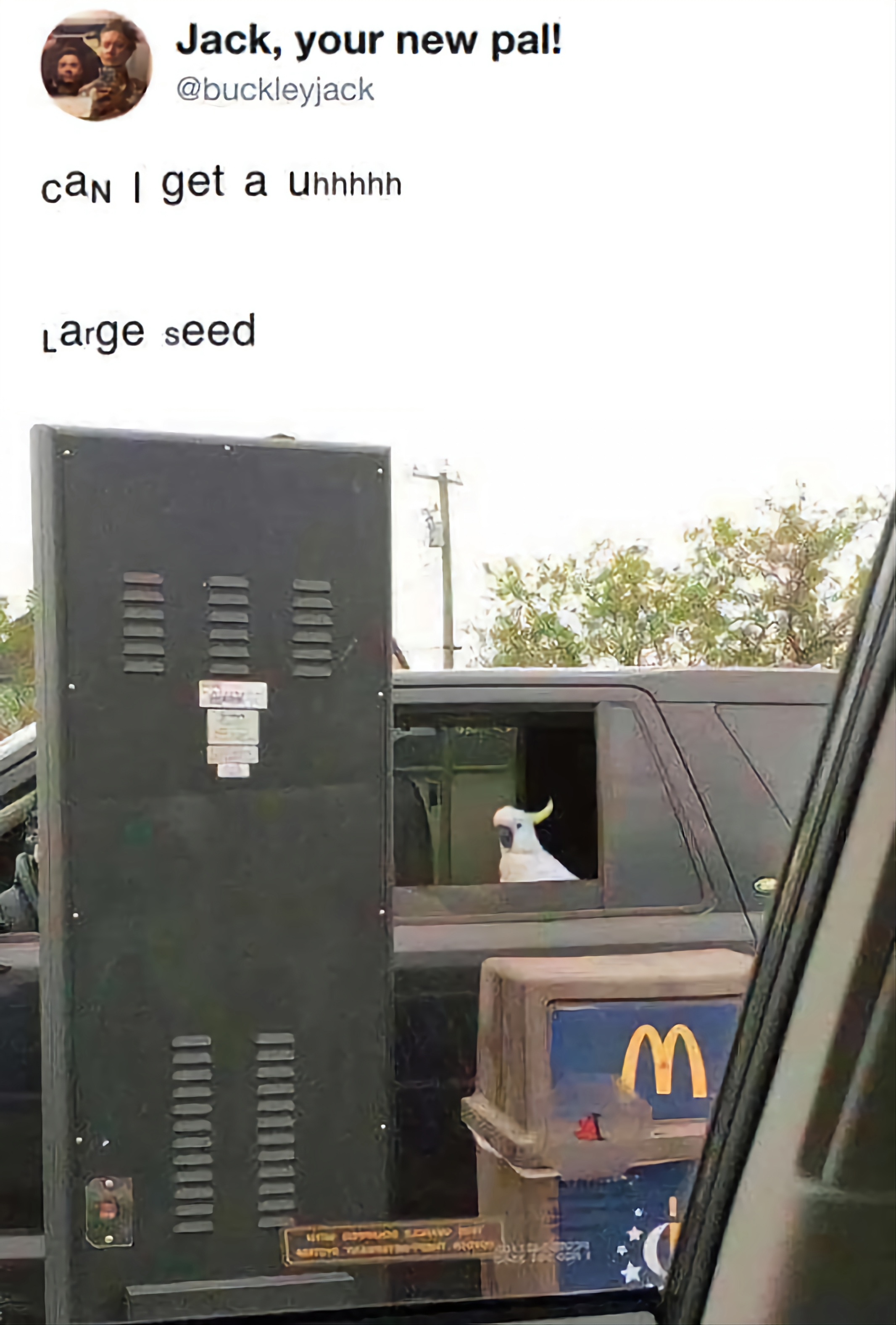 funny memes - can i get uhhhh - Jack, your new pal! can I get a Uhhhhh Large seed M