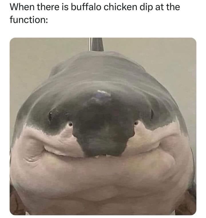 funny memes - sharf shark - When there is buffalo chicken dip at the function