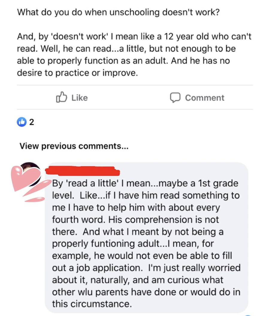 screenshot - What do you do when unschooling doesn't work? And, by 'doesn't work' I mean a 12 year old who can't read. Well, he can read...a little, but not enough to be able to properly function as an adult. And he has no desire to practice or improve. 2