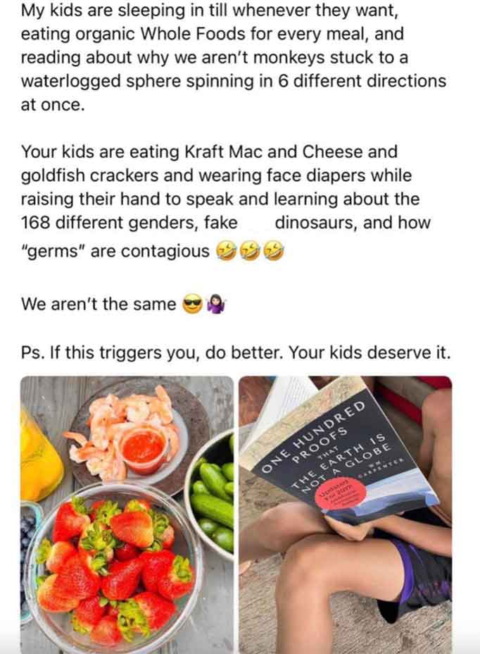 strawberry - My kids are sleeping in till whenever they want, eating organic Whole Foods for every meal, and reading about why we aren't monkeys stuck to a waterlogged sphere spinning in 6 different directions at once. Your kids are eating Kraft Mac and C