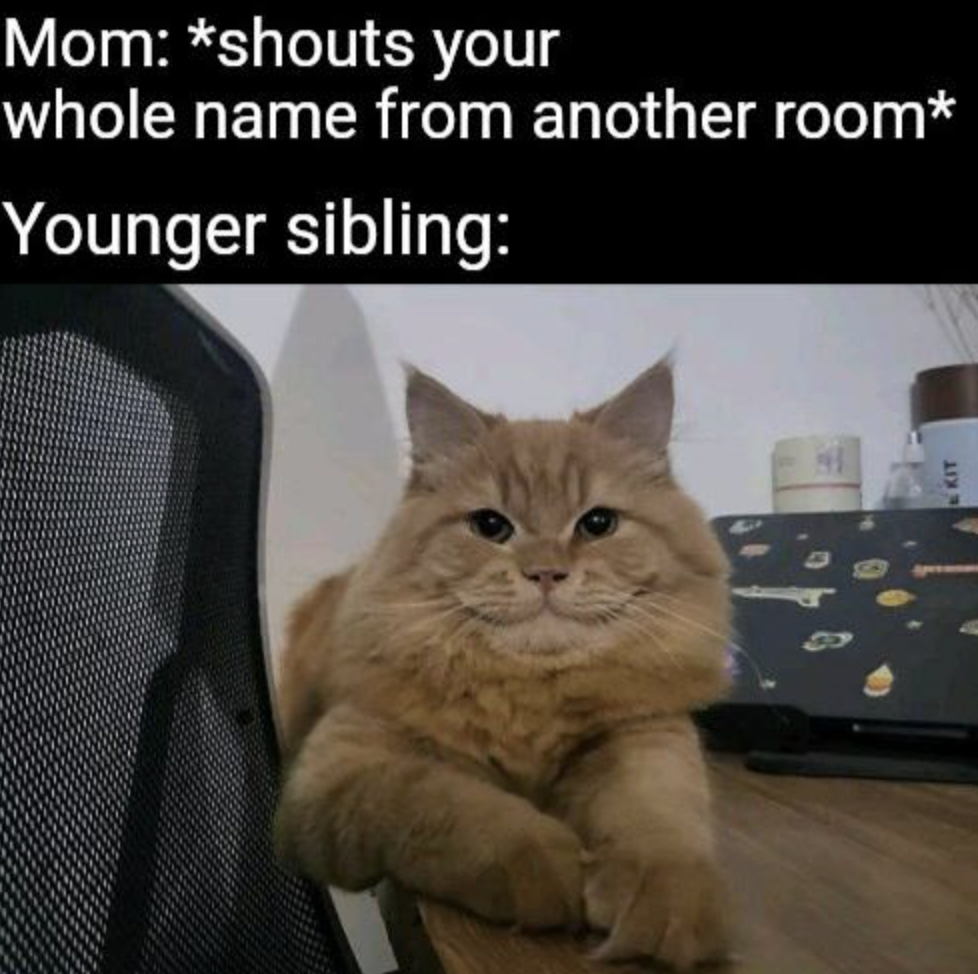 british longhair - Mom shouts your whole name from another room Younger sibling