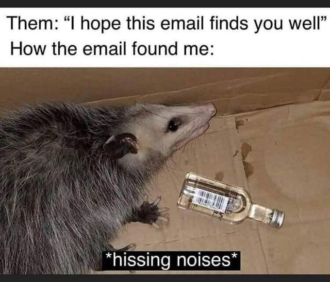 drunk opossum - Them "I hope this email finds you well" How the email found me hissing noises