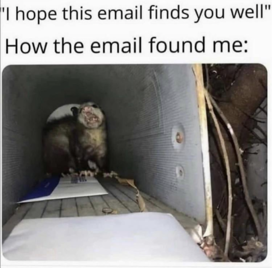 email found me possum - "I hope this email finds you well" How the email found me
